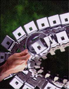 special lubricated chains