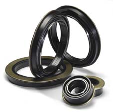 chicago rawhide garlock oil seals J M Clipper NOK seals TCM seals