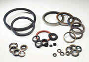 Oil Seals